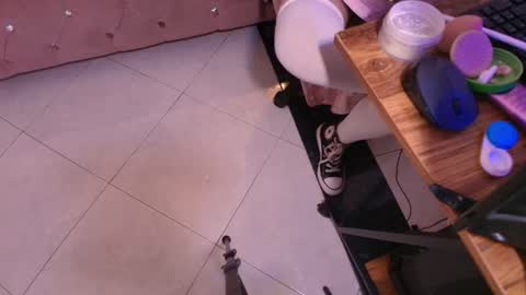 Snapshot of terraelowen chatting on 11, 1, 2026 Terra Elowen online show from 11, 1, 2026