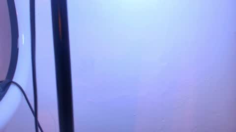 Snapshot of terraelowen chatting on 14, 1, 2026 Terra Elowen online show from 14, 1, 2026