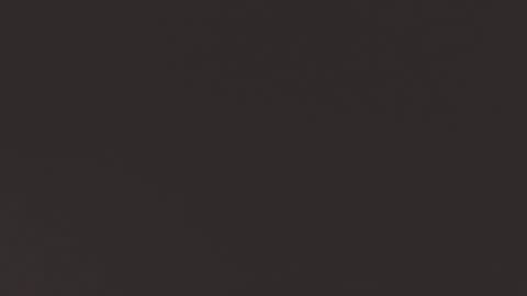 TESSA online show from 11, 1, 2025