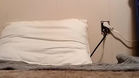 Snapshot of thatb1 chatting on 5, 11, 2025 thatb1 online show from 5, 11, 2025