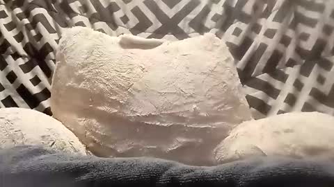 thatb1 online show from 13, 4, 2026