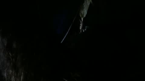 Snapshot of thatcouple22 chatting on 8, 3, 2025 thatcouple22 online show from 8, 3, 2025