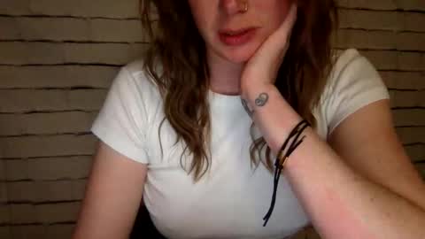 Snapshot of the_bear_and_bee_show chatting on 31, 5, 2026 Bear Bee online show from 31, 5, 2026