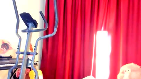 Snapshot of the_steel_magnolia_ chatting on 2, 10, 2025 Ally STREAMING ON TWITCH NOW Check my Twitter for updates online show from 2, 10, 2025