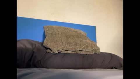 Snapshot of thebulge_b0y chatting on 20, 10, 2025 thebulge_b0y online show from 20, 10, 2025