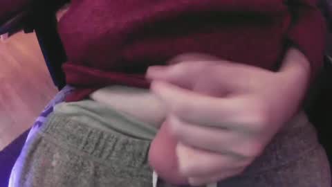 The Fox  The Cat online show from 26, 12, 2024