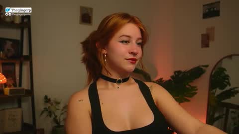 Snapshot of thegingerp chatting on 5, 3, 2026 Streaming mostly at online show from 5, 3, 2026