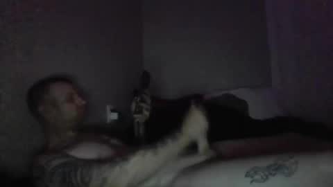 thehammer_cookie online show from 1, 3, 2026