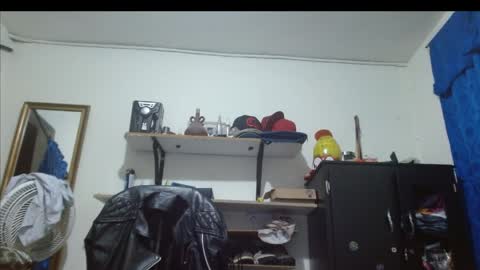 Snapshot of thehousedog chatting on 3, 5, 2026 thehousedog online show from 3, 5, 2026