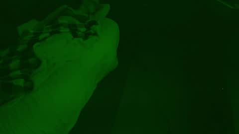 Snapshot of thehungmantis chatting on 26, 12, 2024 thehungmantis online show from 26, 12, 2024