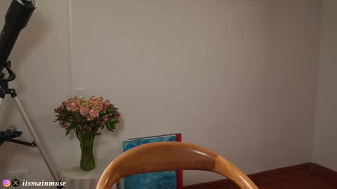 Snapshot of theirismuse chatting on 17, 3, 2026 Iris online show from 17, 3, 2026