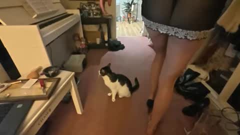 theladyduchess online show from 18, 4, 2026