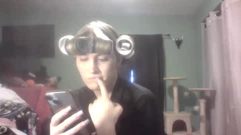 Little Bambii online show from 5, 12, 2024