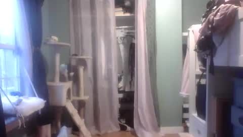 Little Bambii online show from 27, 1, 2025