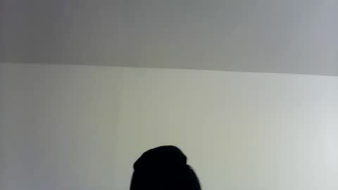 Snapshot of theman18951pa chatting on 1, 11, 2025 theman18951pa online show from 1, 11, 2025