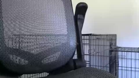 Snapshot of themaneb chatting on 23, 10, 2025 themaneb online show from 23, 10, 2025