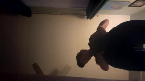 Snapshot of theonlyboi43ver chatting on 2, 1, 2025 theonlyboi43ver online show from 2, 1, 2025
