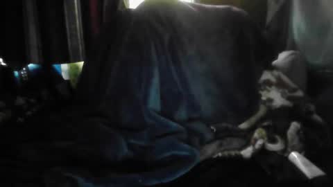 theonlyboi43ver online show from 15, 3, 2026