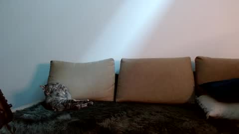 Snapshot of therealkingyoshi chatting on 11, 1, 2025 Yoshi online show from 11, 1, 2025