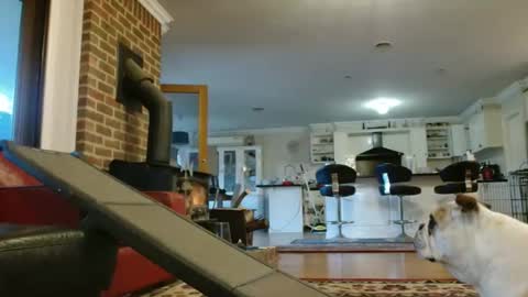 therealkurva4u online show from 25, 9, 2025