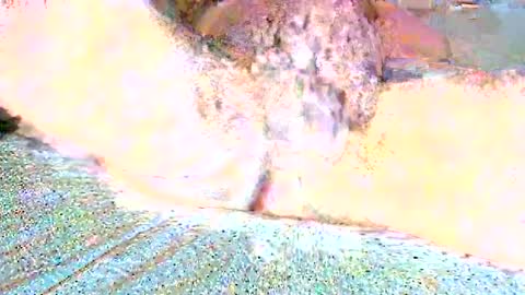 thetightestass14 online show from 25, 2, 2025