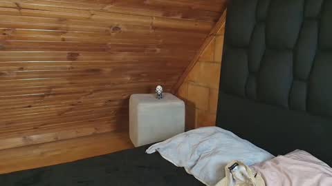 Snapshot of thiago_n_sam chatting on 1, 11, 2025 thiago_n_sam online show from 1, 11, 2025