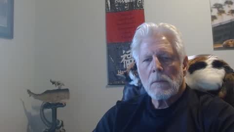 Scooter online show from 8, 1, 2025
