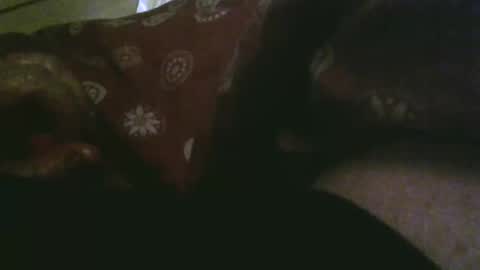 Snapshot of thisbloke96 chatting on 17, 12, 2025 thisbloke96 online show from 17, 12, 2025