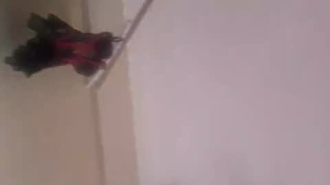 Snapshot of thomassr chatting on 5, 11, 2025 Thonas online show from 5, 11, 2025