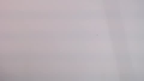 tihana online show from 25, 12, 2024