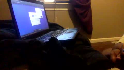 Snapshot of tierrahenri chatting on 2, 2, 2025 Tierra Henri online show from 2, 2, 2025