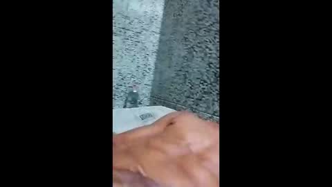 tierre911948 online show from 17, 12, 2025