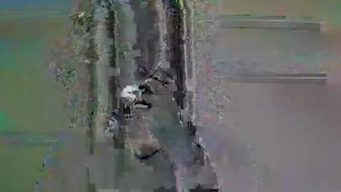 Snapshot of tifa_lockheart chatting on 11, 4, 2026 tifa_lockheart online show from 11, 4, 2026