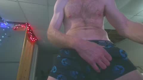 Snapshot of tigars36 chatting on 22, 12, 2024 Tigars36 online show from 22, 12, 2024