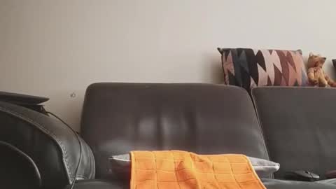 tinydick online show from 11, 6, 2026