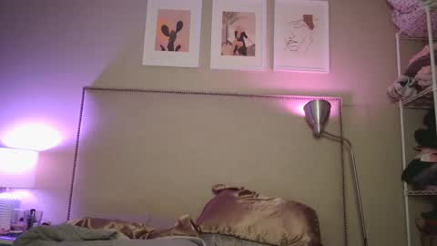 Snapshot of tipsytoesdaisy chatting on 27, 12, 2024 Tipsy Daisy online show from 27, 12, 2024