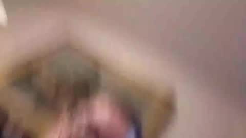 Snapshot of tmsvdc1 chatting on 25, 12, 2024 tmsvdc1 online show from 25, 12, 2024