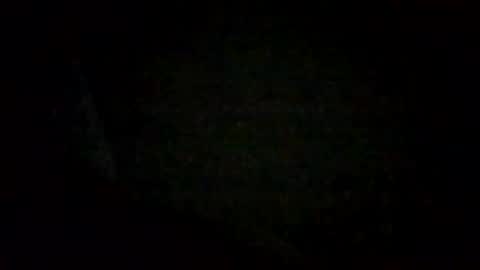 Snapshot of tmsvdc1 chatting on 29, 12, 2024 tmsvdc1 online show from 29, 12, 2024