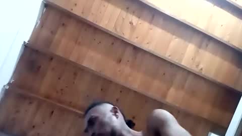 DESTROY.S online show from 1, 11, 2025