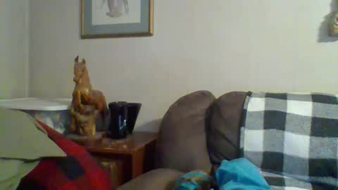 Vols online show from 7, 11, 2025