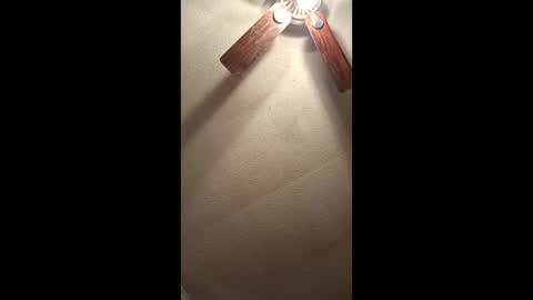 Vols online show from 3, 2, 2026