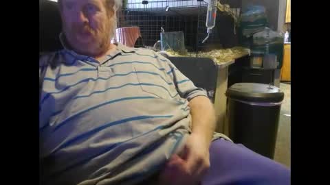 to_boldly_go online show from 25, 12, 2024