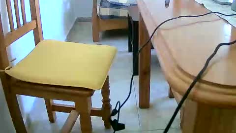 Tobiko online show from 31, 12, 2024