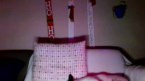 Snapshot of tomas_gerauld chatting on 30, 12, 2024 tomas gerauld. make me happy with 10000 tokens online show from 30, 12, 2024