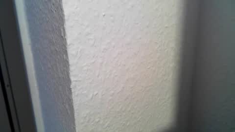 Snapshot of tommy193 chatting on 26, 12, 2024 tommy193 online show from 26, 12, 2024