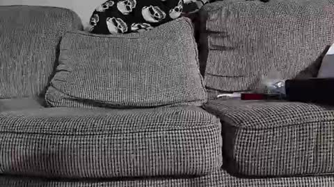 Snapshot of tomnor13 chatting on 9, 3, 2026 tomnor13 online show from 9, 3, 2026