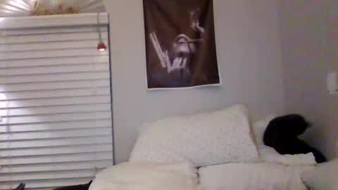Snapshot of tonitones chatting on 19, 3, 2026 Honeys Snow Bunny online show from 19, 3, 2026