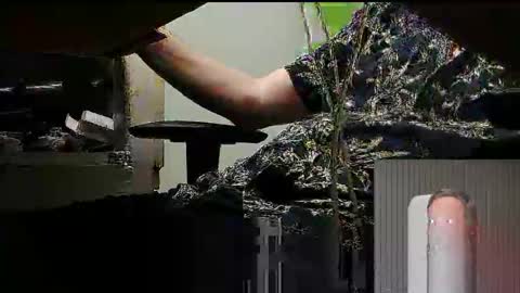 Snapshot of tontin69 chatting on 31, 3, 2026 tontin69 online show from 31, 3, 2026