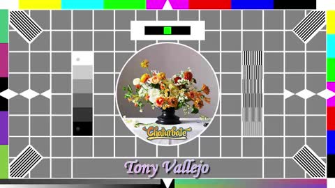 Snapshot of tony_vallejo chatting on 14, 10, 2025 Tony V online show from 14, 10, 2025