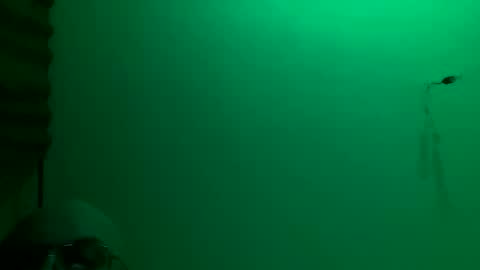 MisterXxX online show from 23, 11, 2025